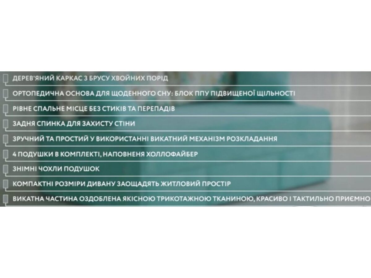 Диван Омега Люкс 160 (варианты ширины спального места: 700/800/900/1000/1100/1200/1300/1400/1500/1600/1800) — 16 фото с описанием - 9 (Под заказ)